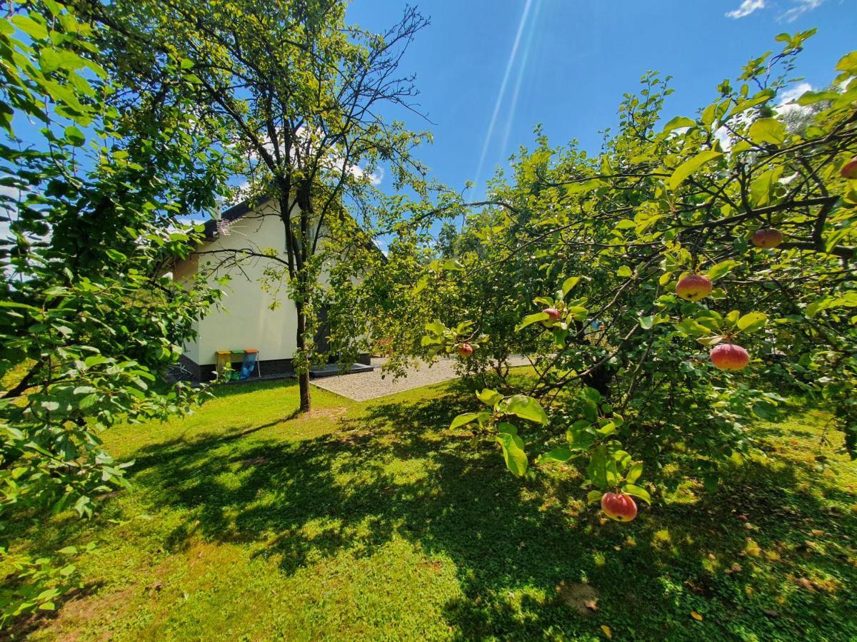 Tetmajera View & Garden Vila Dębica Exterior foto